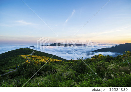 山 雲海 智異山 36524380