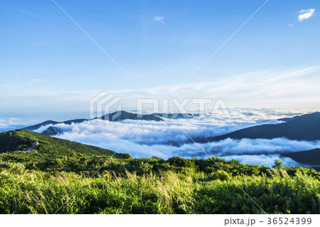 求礼郡 山 雲海 36524399