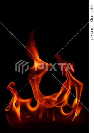 Fire flames on a black background 36524766