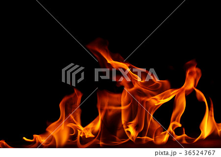 Fire flames on a black background 36524767