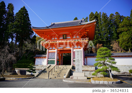 播州清水寺仁王門 播州清水寺仁王門 36524831