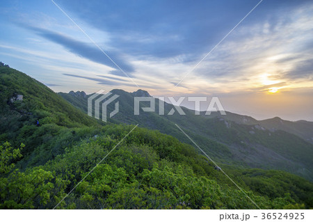 屋外 室外 山 36524925
