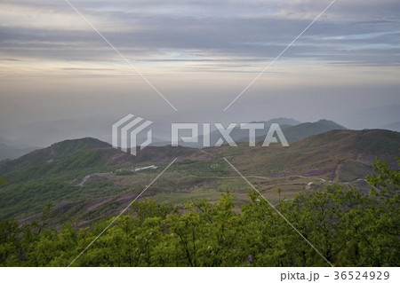 山 空 ファンメサン 36524929
