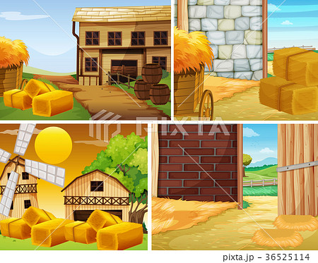 Farm scenes with lots of hay 36525114