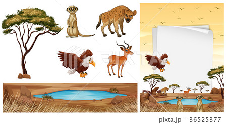 Scene with wild animals in the savanna Scene with wild animals in the savanna 36525377