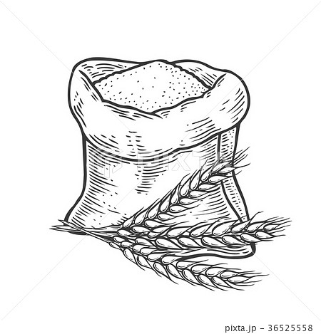 Hand drawn Sack 36525558
