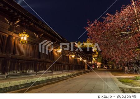 日本の秋 京都　北野天満宮 秋の紅葉ライトアップ 36525849
