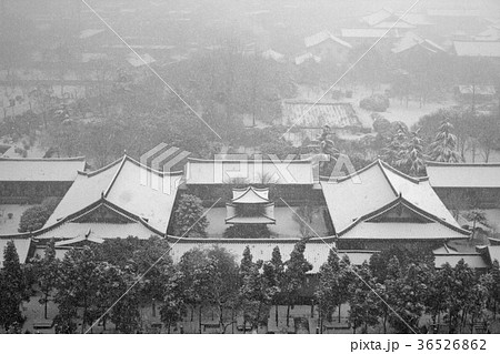 雪に覆われる大雁塔の庭。2006/2/25 36526862