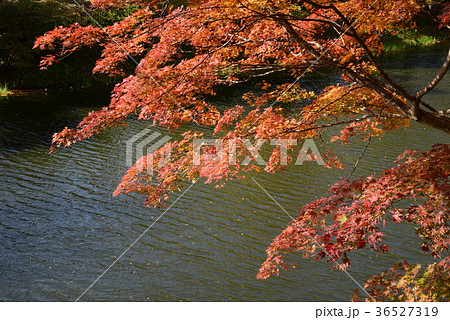 棚倉城址へ行きました　　＃16 36527319