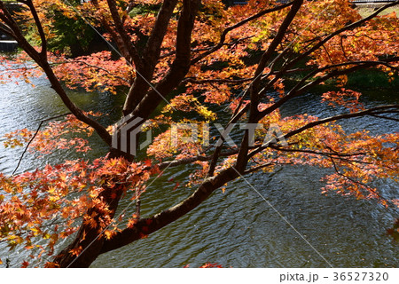 棚倉城址へ行きました　　＃17 36527320