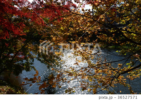 棚倉城址へ行きました　　＃24 36527571