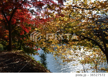 棚倉城址へ行きました　　＃25 36527572