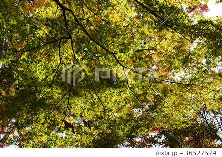 棚倉城址へ行きました　　＃27 36527574