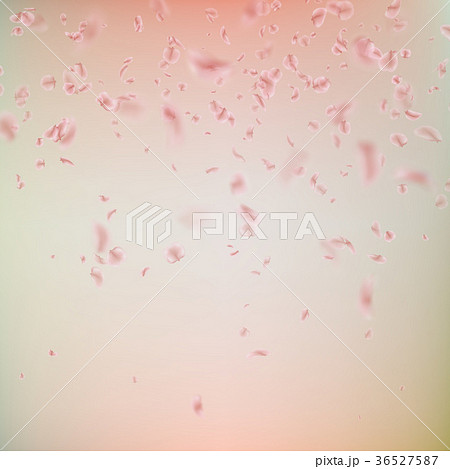 Spring background with pink Sakura petals. EPS 10 36527587