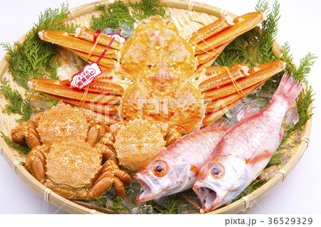 カニ　盛り合わせ　食材 36529329
