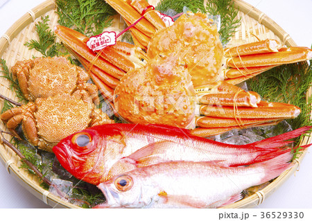 カニ 盛り合わせ 食材 カニ 盛り合わせ 食材 36529330