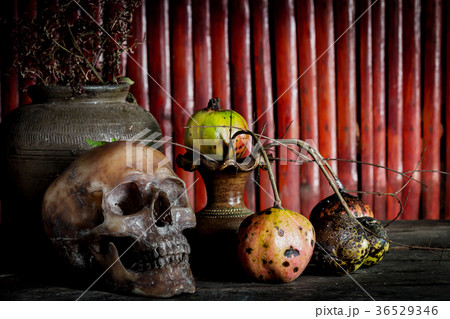 Still Life with a Skull and vase,earthenware Still Life with a Skull and vase,earthenware 36529346