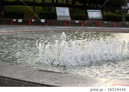 噴水 36529446