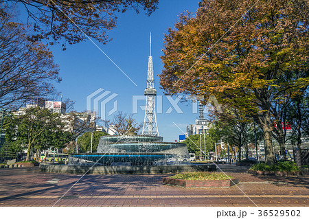 愛知県　名古屋都市風景 36529502
