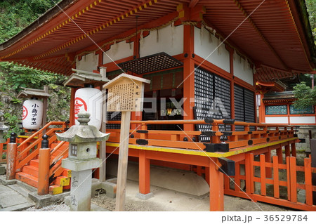 金刀比羅宮「厳魂神社」（奥社） 36529784