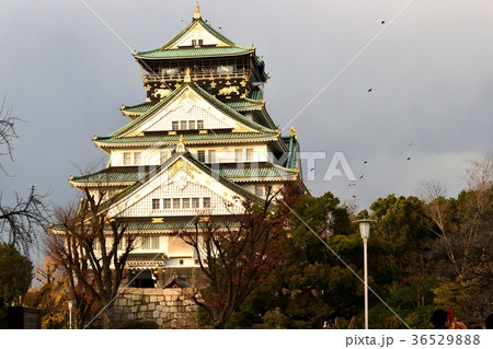 大阪城天守 36529888