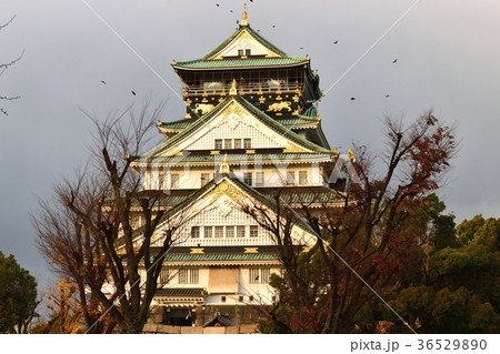 大阪城天守 36529890