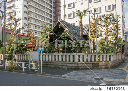 野見宿禰神社 36530368