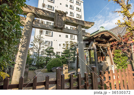 野見宿禰神社 36530372