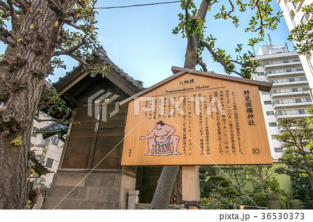 東京都墨田区の野見宿禰神社 36530373
