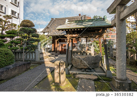 野見宿禰神社 36530382