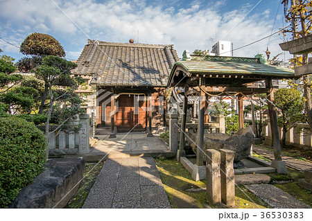 東京都墨田区亀沢の野見宿禰神社 36530383