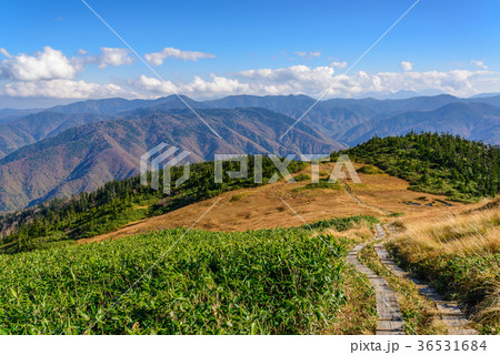 草紅葉の稜線 草紅葉の稜線 36531684