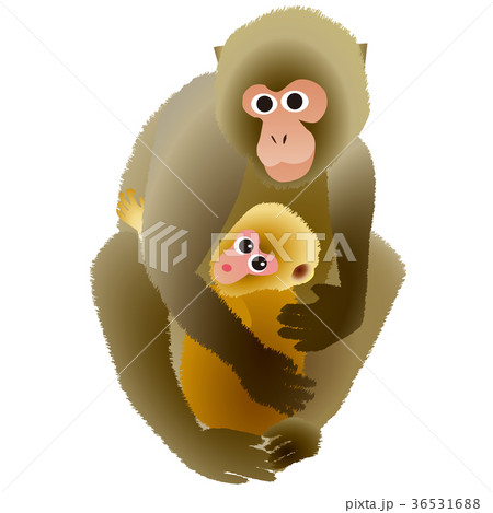 猿の親子のイラスト素材 [36531688] - PIXTA