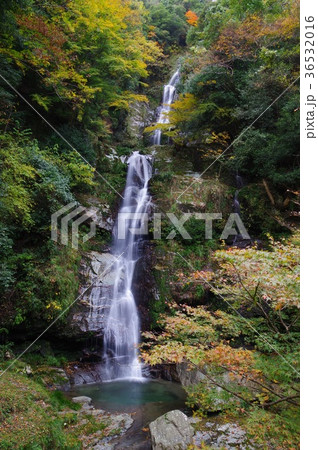 鳴滝 鳴滝 36532016