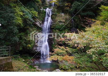 鳴滝 36532017