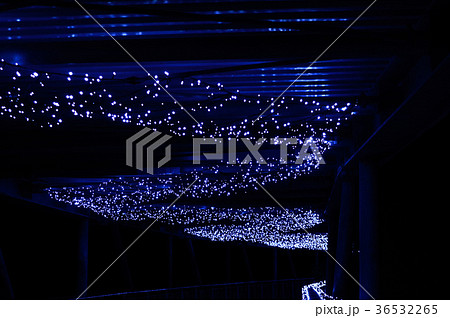 鳥取 花回廊 イルミネーション 鳥取 花回廊 イルミネーション 36532265