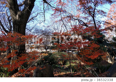 新田荘歴史資料館・12月 36532338