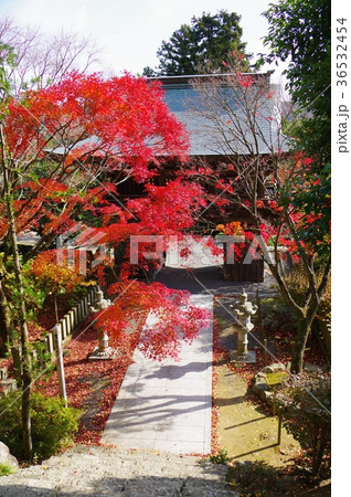古刹の紅葉 36532454