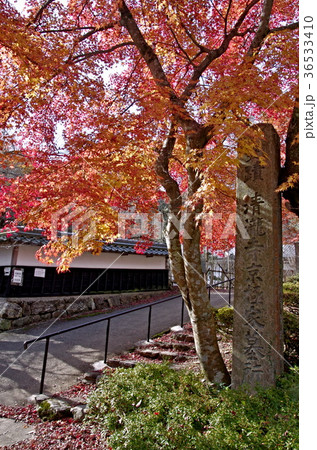 徳源院 徳源院 36533410