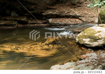 赤目四十八滝と紅葉 36533463