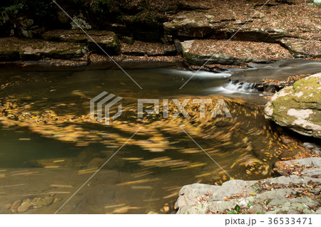 赤目四十八滝と紅葉 36533471