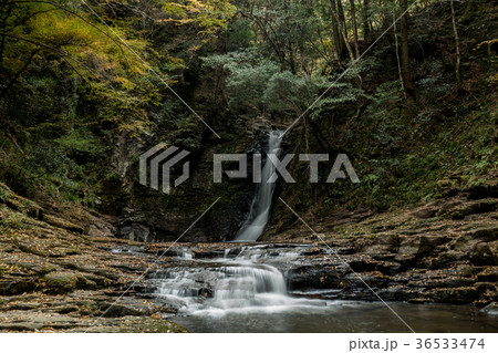 赤目四十八滝と紅葉 36533474