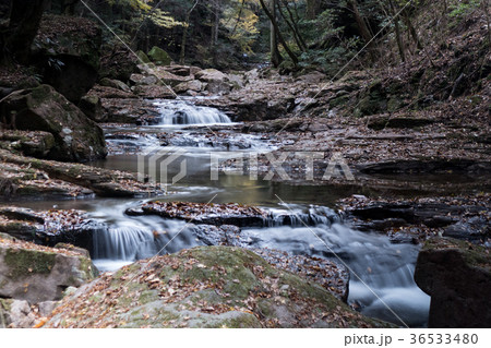 赤目四十八滝と紅葉 36533480