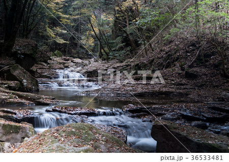 赤目四十八滝と紅葉 36533481