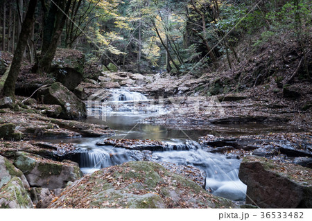赤目四十八滝と紅葉 36533482