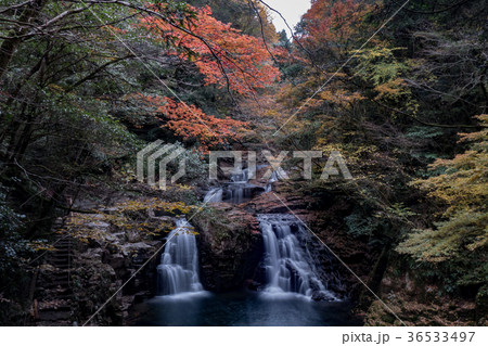 赤目四十八滝と紅葉 赤目四十八滝と紅葉 36533497