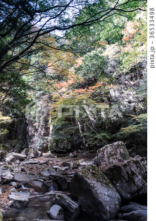 赤目四十八滝と紅葉 赤目四十八滝と紅葉 36533498