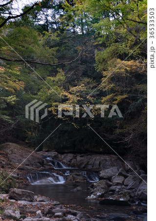 赤目四十八滝と紅葉 36533503