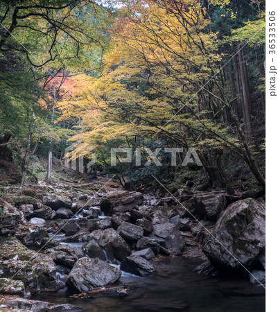 赤目四十八滝と紅葉 赤目四十八滝と紅葉 36533506