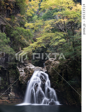 赤目四十八滝と紅葉 36533514